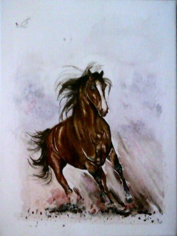 Cheva en course